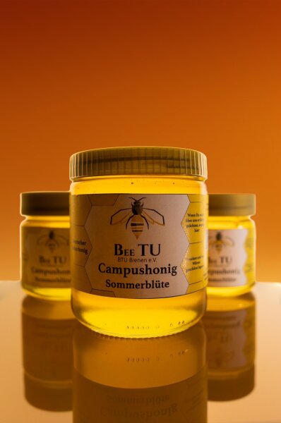 BEE TU Honig (Sommerblüte) 250g